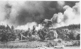 bosbrand_tharde_klein