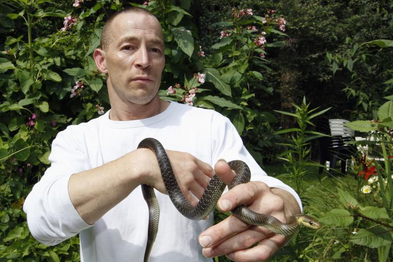 vermiste_slang_tharde