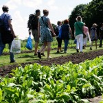 gezondste_fair_van_nederland