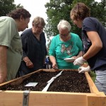 moestuinbakken