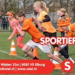 sportdafwiel